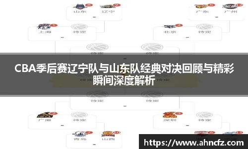 v66体育